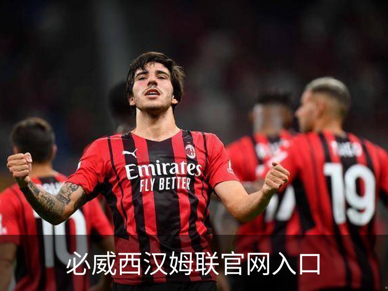 必威西汉姆联官网入口介绍